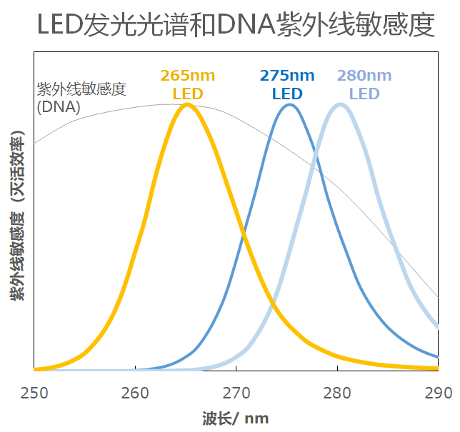 LED発光スペクトルとDNA紫外線感受性