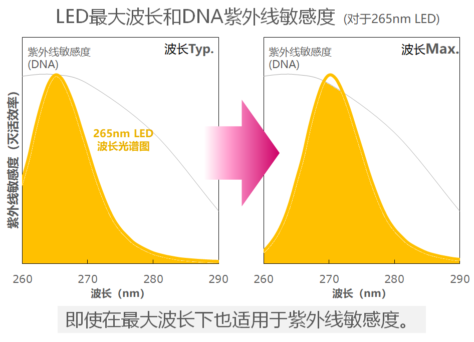 LED最大波長とDNA紫外線感受性（265nmLED場合）